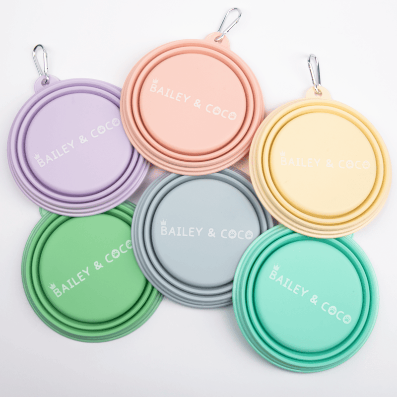 Collapsible Dog Water Bowl - Buttercup Yellow - Bailey and Coco (UK)