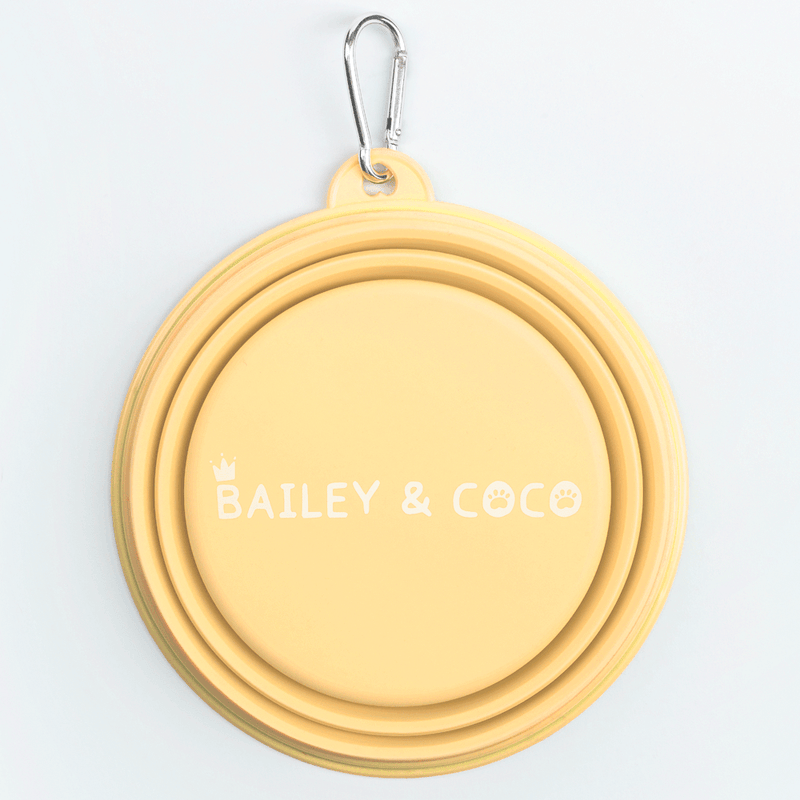 Collapsible Dog Water Bowl - Buttercup Yellow - Bailey and Coco (UK)