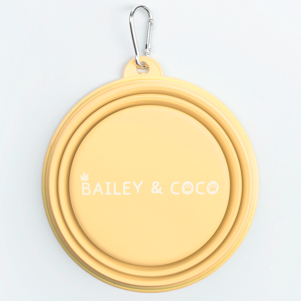 Collapsible Dog Water Bowl - Buttercup Yellow - Bailey and Coco (UK)