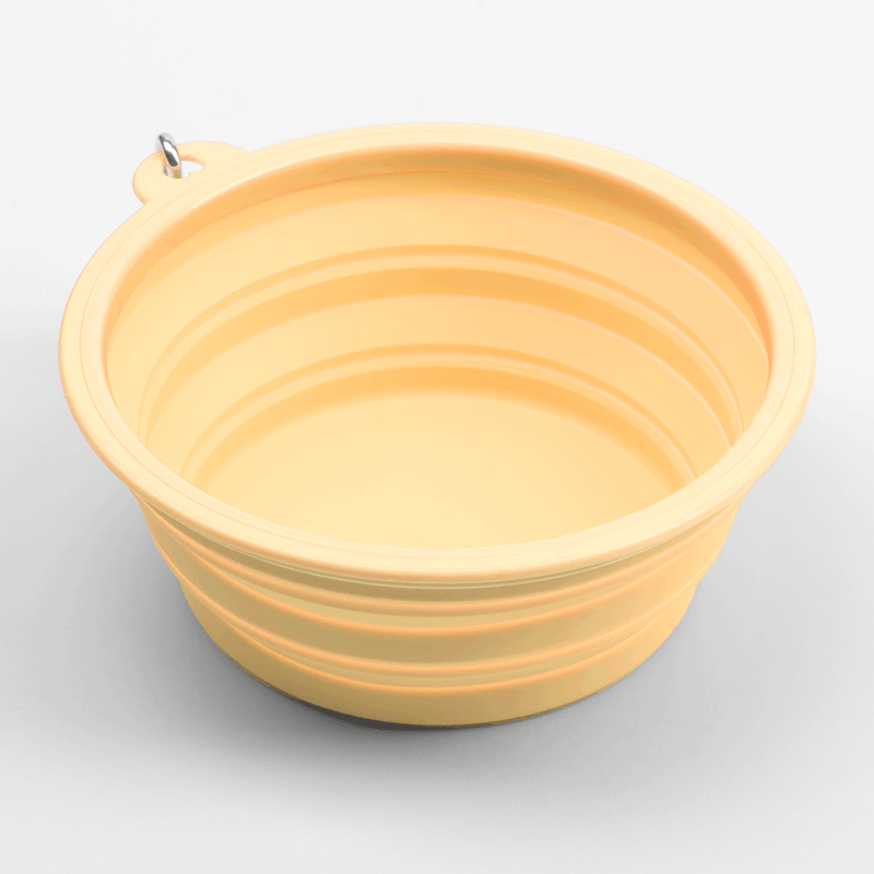 Collapsible Dog Water Bowl - Buttercup Yellow - Bailey and Coco (UK)