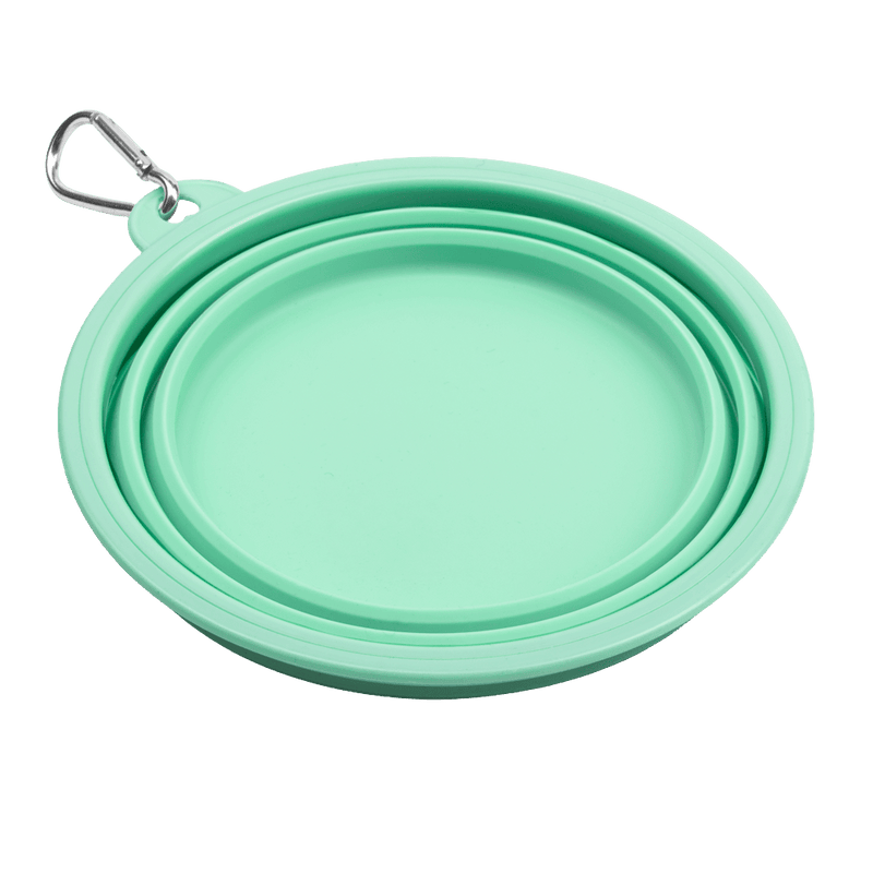 Collapsible Dog Water Bowl - Mint Breeze - Bailey and Coco (UK)