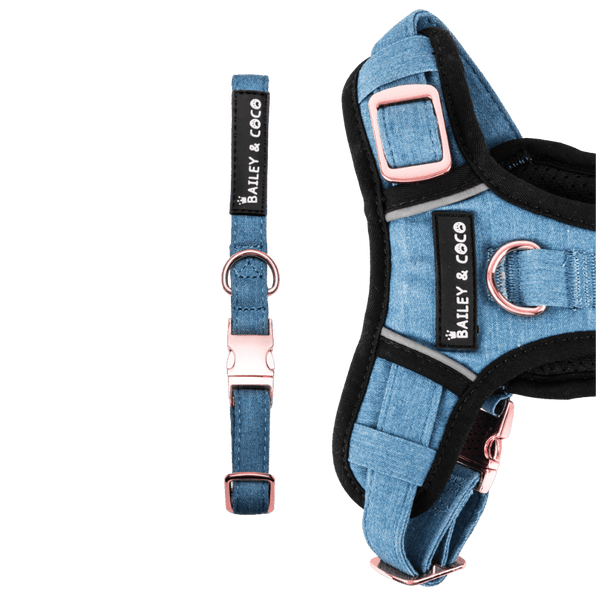 Collar - The Denim One - Bailey and Coco (UK)