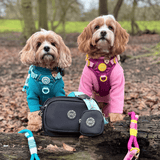Create Your Own Dog Walking Bag - Black - Bailey and Coco (UK)