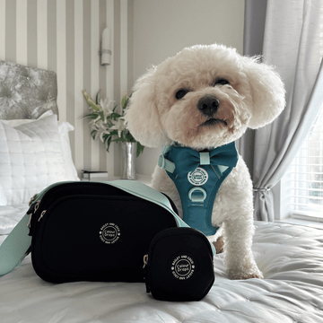 Create Your Own Dog Walking Bag Black