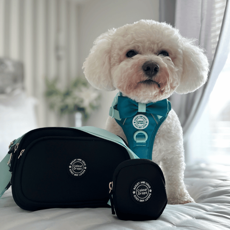 Create Your Own Dog Walking Bag - Black - Bailey and Coco (UK)