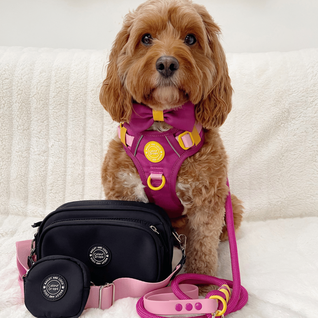 Create Your Own Dog Walking Bag - Black - Bailey and Coco (UK)