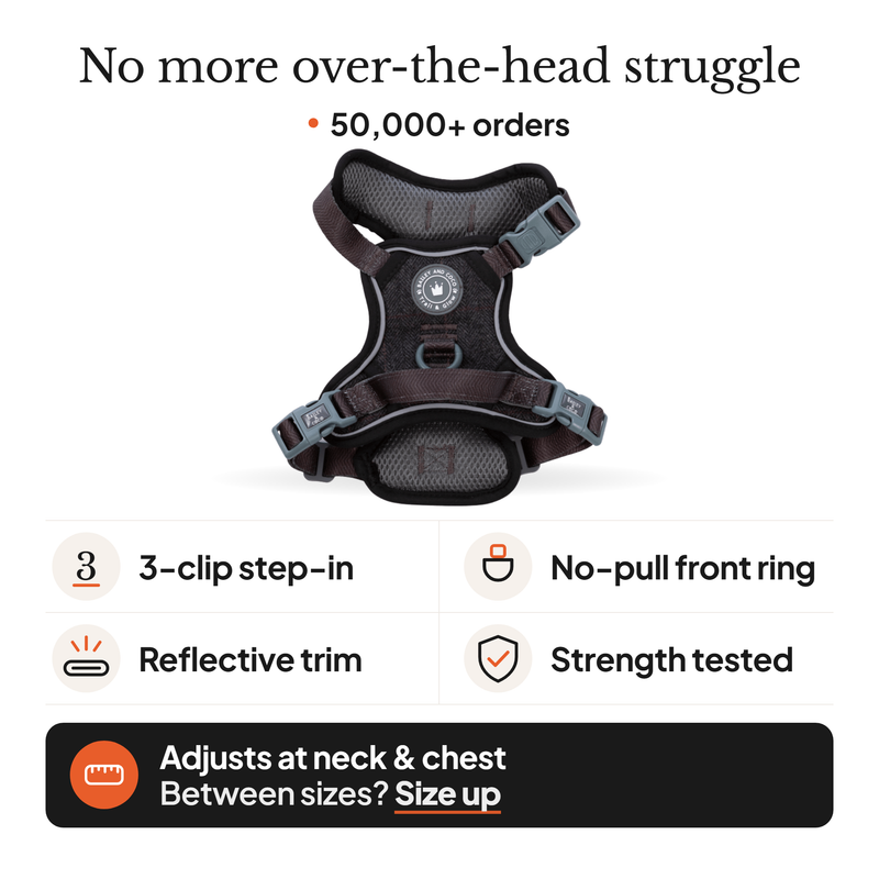 Trail & Glow dog harness in Charcoal Tweed: 3-clip step-in, no-pull front ring, reflective trim, strength tested. Adjusts at neck and chest; between sizes, size up.