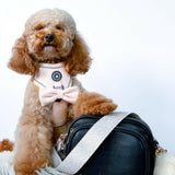 Crossbody Dog Walking Bag - Vegan Leather - Black - Bailey and Coco (UK)