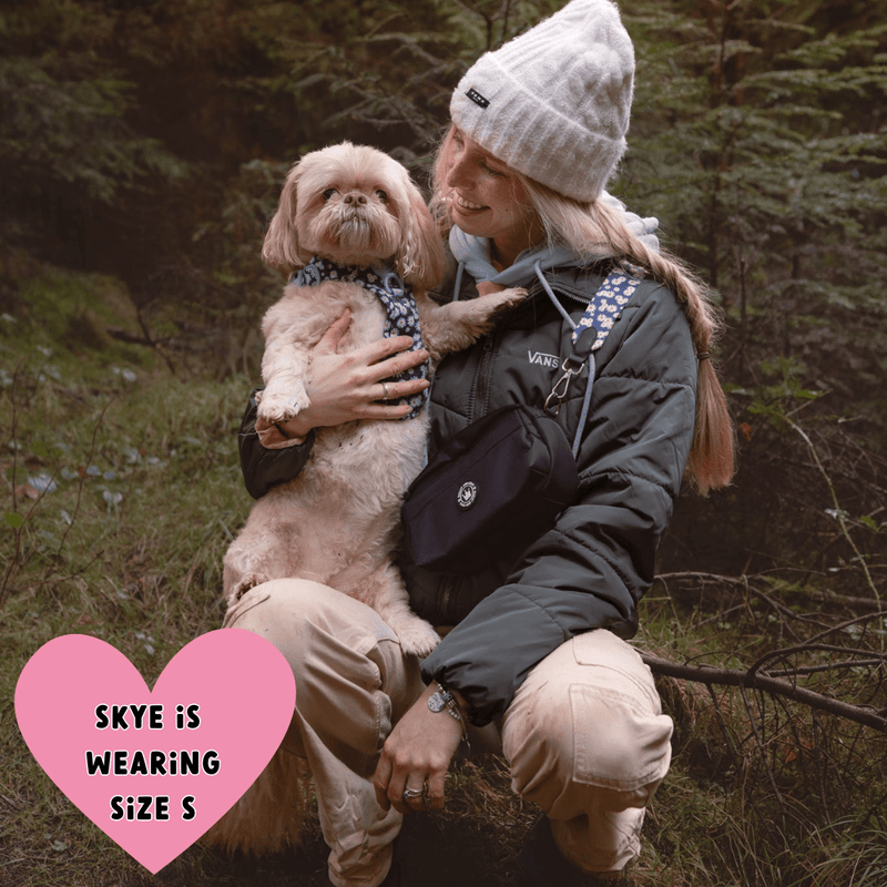 Daisy Dog Harness - Colour Drops - Loves me, Loves me not - Bailey and Coco (UK)