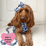 Daisy Dog Harness - Colour Drops - Loves me, Loves me not - Bailey and Coco (UK)