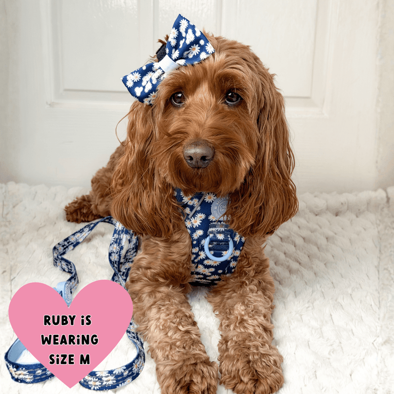 Daisy Dog Harness - Colour Drops - Loves me, Loves me not - Bailey and Coco (UK)