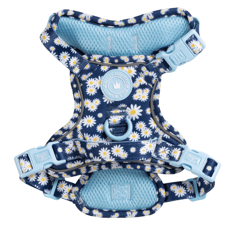 Daisy Dog Harness - Colour Drops - Loves me, Loves me not - Bailey and Coco (UK)