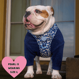 Daisy Dog Harness - Colour Drops - Loves me, Loves me not - Bailey and Coco (UK)