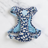Daisy Dog Harness - Colour Drops - Loves me, Loves me not - Bailey and Coco (UK)