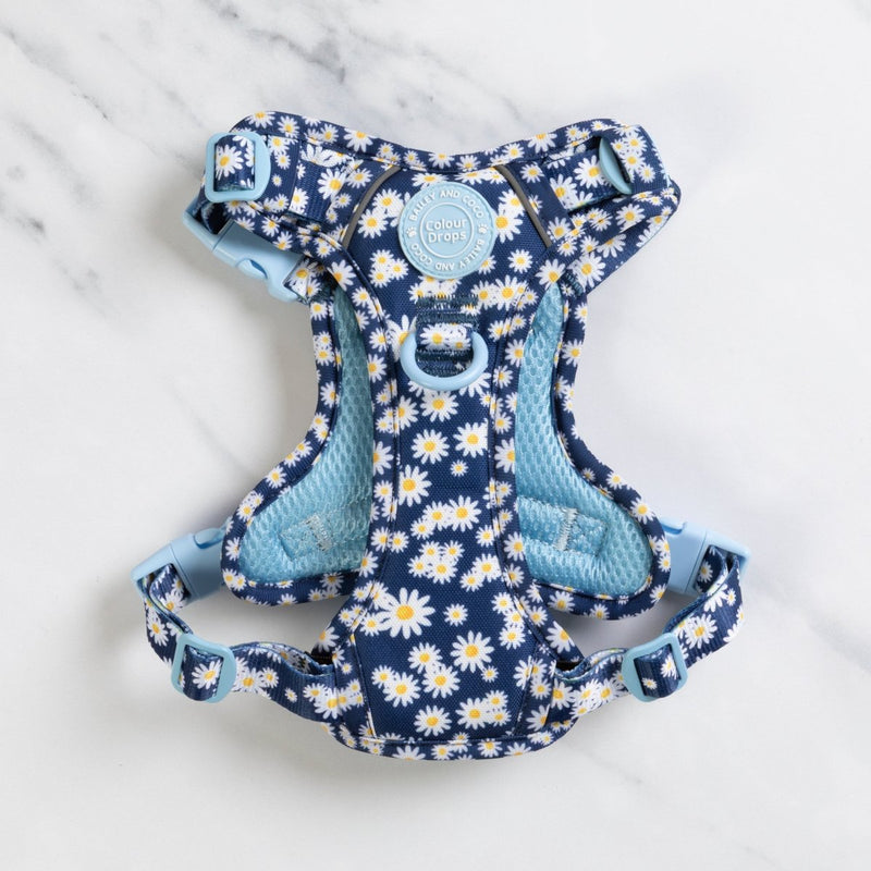 Daisy Dog Harness - Colour Drops - Loves me, Loves me not - Bailey and Coco (UK)