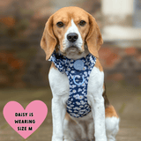 Daisy Dog Harness - Colour Drops - Loves me, Loves me not - Bailey and Coco (UK)