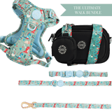 Dino Party Colour Drops - Adjustable Dog Harness, Lead, Collar & Black Dog Walking Bag Bundle - Bailey and Coco (UK)