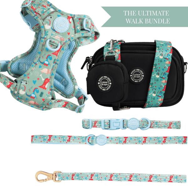 Dino Party Colour Drops - Adjustable Dog Harness, Lead, Collar & Black Dog Walking Bag Bundle - Bailey and Coco (UK)