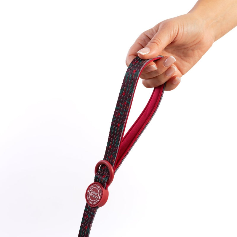 Dog Harness and Lead Set - Colour Drops - Jingle Berry - Bailey and Coco (UK)