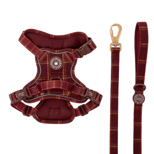 Dog Harness and Lead Set - Colour Drops - Mulberry Plaid - Bailey and Coco (UK)