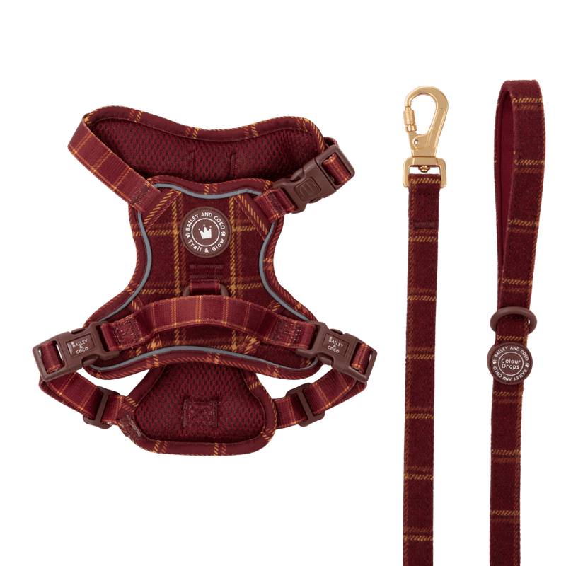 Dog Harness and Lead Set - Colour Drops - Mulberry Plaid - Bailey and Coco (UK)