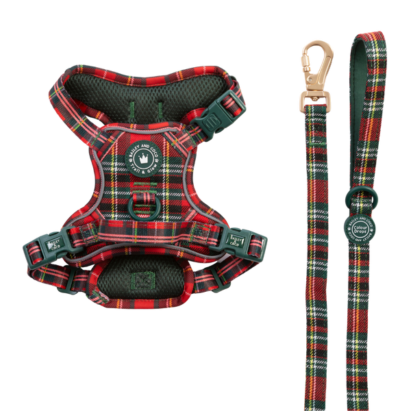 Dog Harness and Lead Set - Colour Drops - Red Highland Tartan - Bailey and Coco (UK)