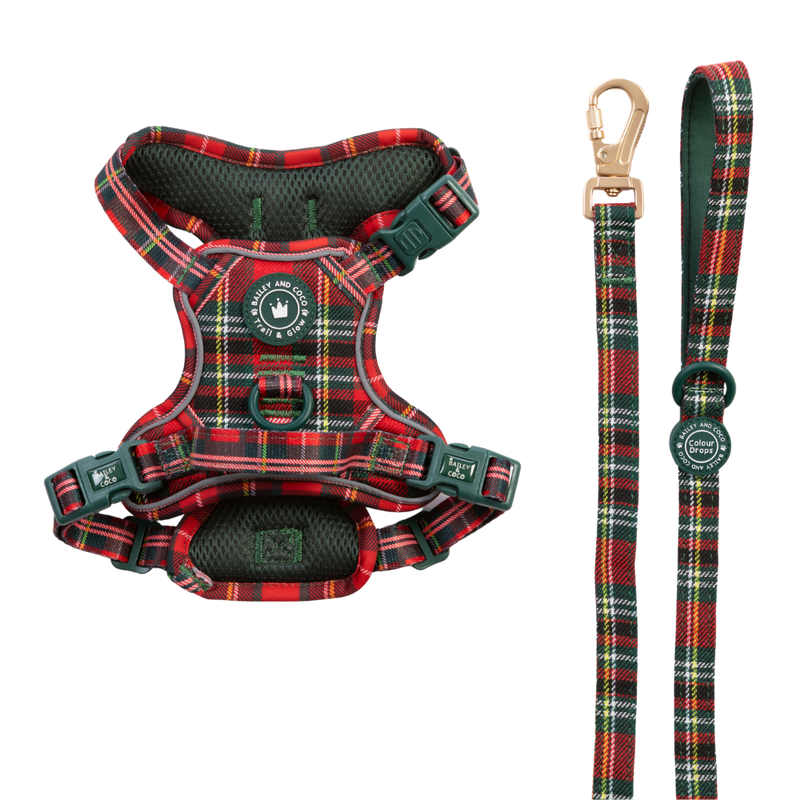 Dog Harness and Lead Set - Colour Drops - Red Highland Tartan - Bailey and Coco (UK)