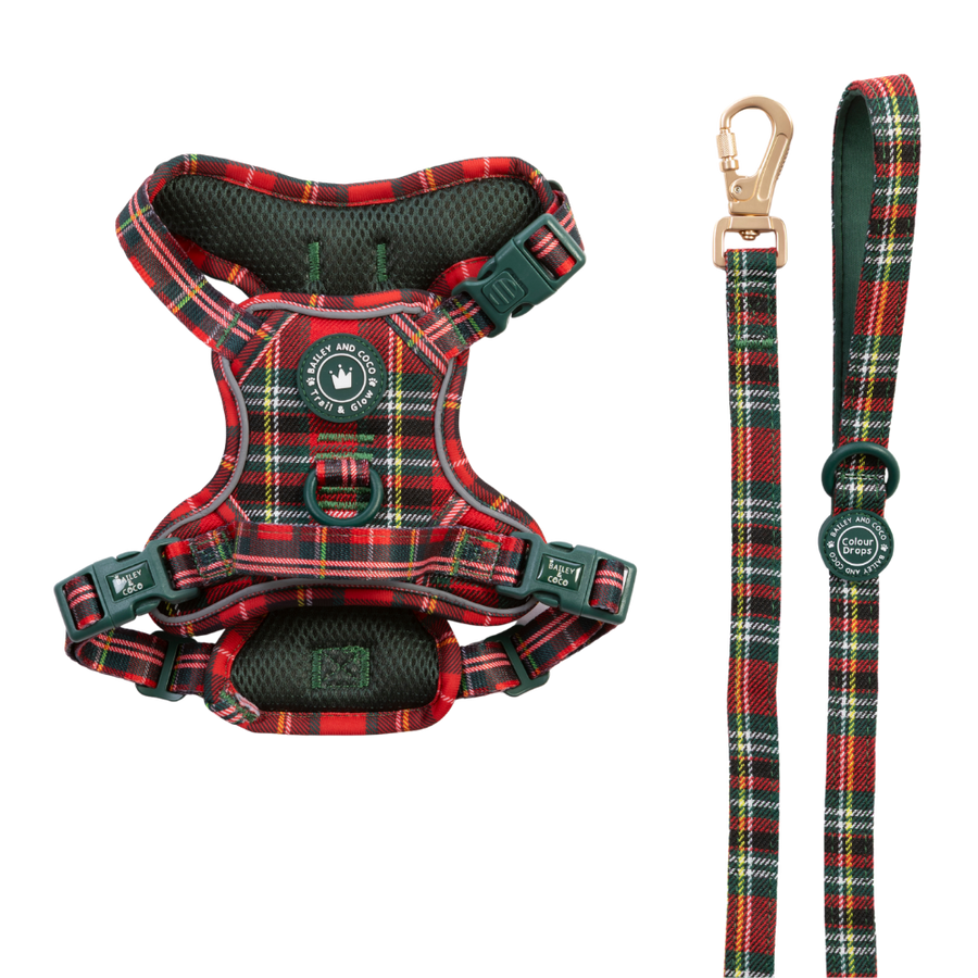 Dog Harness and Lead Set - Colour Drops - Red Highland Tartan