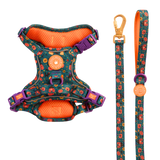 Dog Harness and Lead Set - Colour Drops - Spellbound Autumn - Bailey and Coco (UK)
