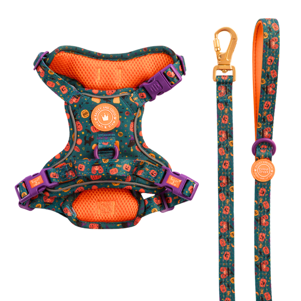 Dog Harness and Lead Set - Colour Drops - Spellbound Autumn - Bailey and Coco (UK)