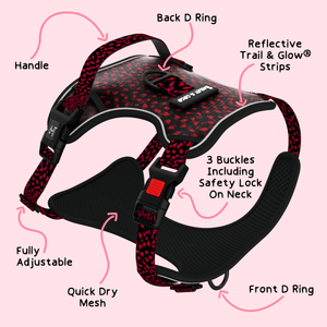Dog Harness and Lead Set - Dark Romance - Bailey and Coco (UK)