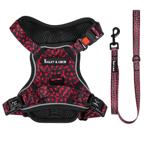 Dog Harness and Lead Set - Dark Romance - Bailey and Coco (UK)
