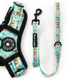 Dog Harness and Lead Set - Feels Like Summer - Bailey and Coco (UK)