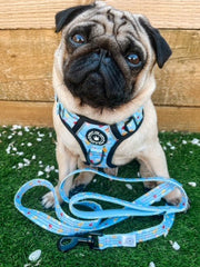 Dog Harness and Lead Set - Feels Like Summer - Bailey and Coco (UK)