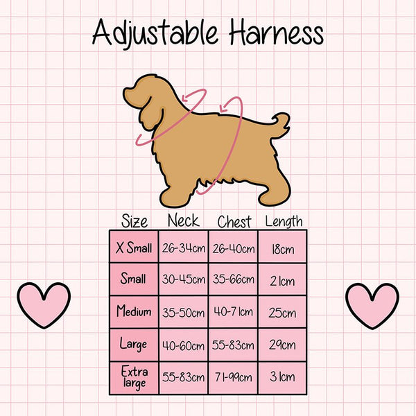 Dog Harness and Lead Set - Feels Like Summer - alternate view