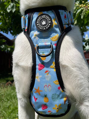 Dog Harness and Lead Set - Feels Like Summer - Bailey and Coco (UK)