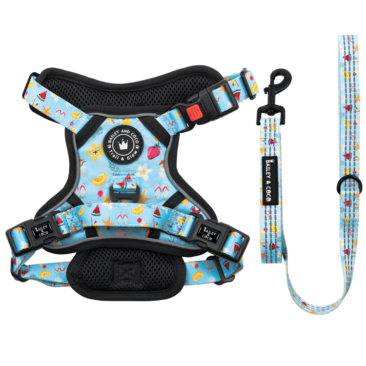 Dog Harness and Lead Set - Feels Like Summer - Bailey and Coco (UK)