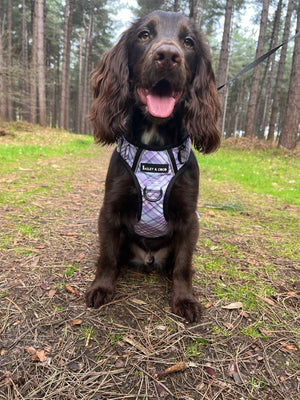 Dog Harness and Lead Set - Lilac Haze - Bailey and Coco (UK)