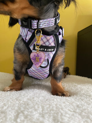 Dog Harness and Lead Set - Lilac Haze - Bailey and Coco (UK)