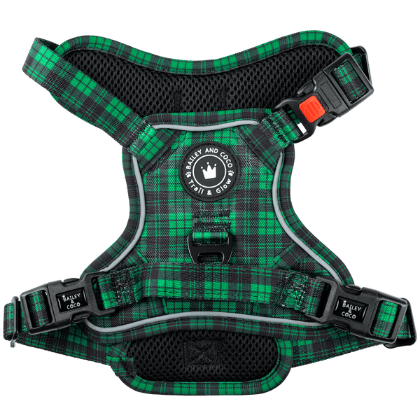 Dog Harness and Lead Set - The Green Tartan One - Bailey and Coco (UK)