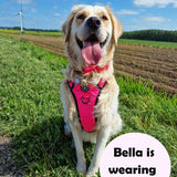 Dog Harness and Lead Set - The Hot Pink One - Bailey and Coco (UK)