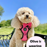 Dog Harness and Lead Set - The Hot Pink One - Bailey and Coco (UK)