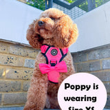 Dog Harness and Lead Set - The Hot Pink One - Bailey and Coco (UK)