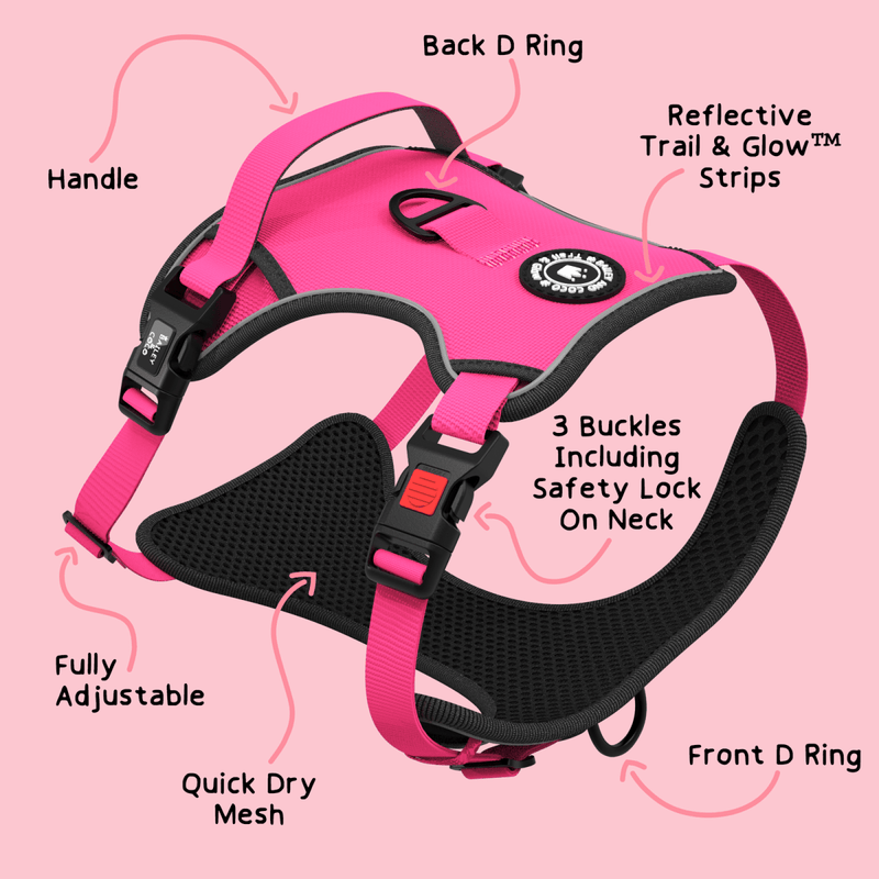 Dog Harness and Lead Set - The Hot Pink One - Bailey and Coco (UK)