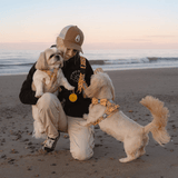 Dog Harness - Colour Drops - Wanna - Bee - Bailey and Coco (UK)