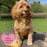 Dog Harness - Colour Drops - Wanna - Bee - Bailey and Coco (UK)