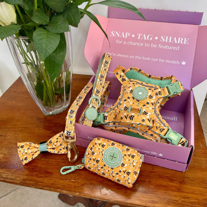 Dog Harness - Colour Drops - Wanna - Bee - Bailey and Coco (UK)
