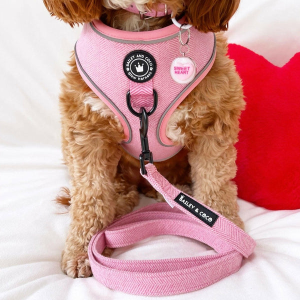 Dog Lead 5ft - Bubblegum Pink Tweed - alternate view