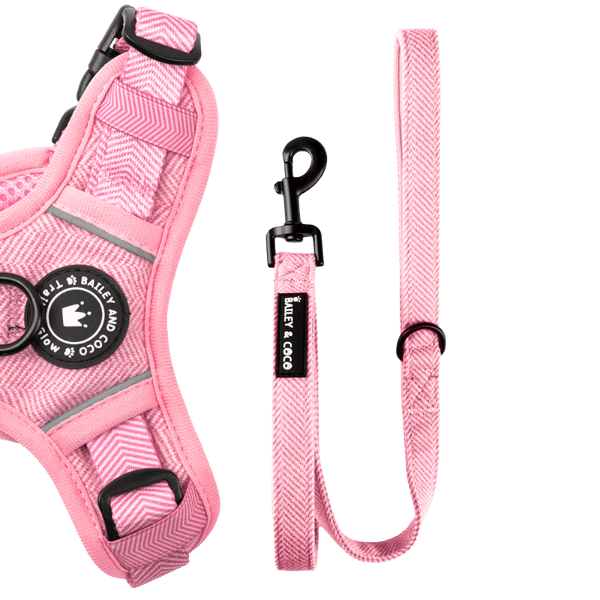 Dog Lead 5ft - Bubblegum Pink Tweed - Bailey and Coco (UK)