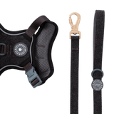 Dog Lead 5ft - Colour Drops - Charcoal Tweed - Bailey and Coco (UK)